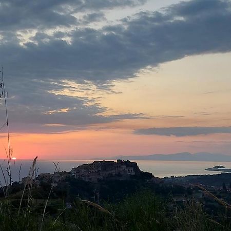 Tenuta Dei Biondi Ulivi B&B Belvedere Marittimo Εξωτερικό φωτογραφία