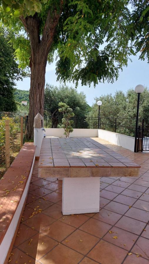 Tenuta Dei Biondi Ulivi B&B Belvedere Marittimo Εξωτερικό φωτογραφία