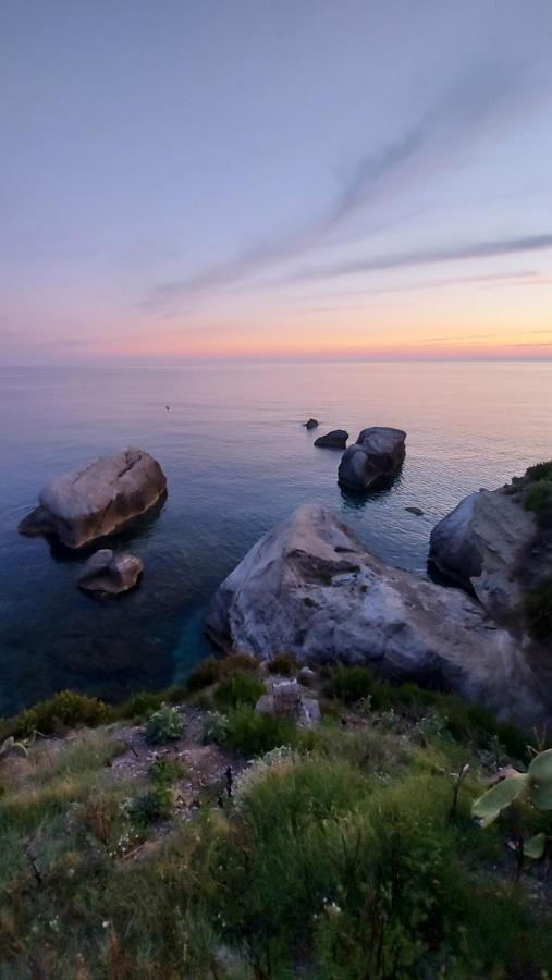 Tenuta Dei Biondi Ulivi B&B Belvedere Marittimo Εξωτερικό φωτογραφία